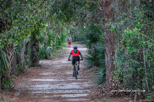 bicycle bicyclist hiker walker trail nature mothernature outdoors recreation exercise riverbend park riverbendpark jupiter florida usa landscape