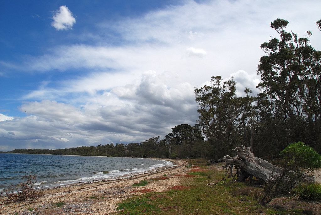 Downtime Down Under - Looking Along the Shoreline at Raymond Island