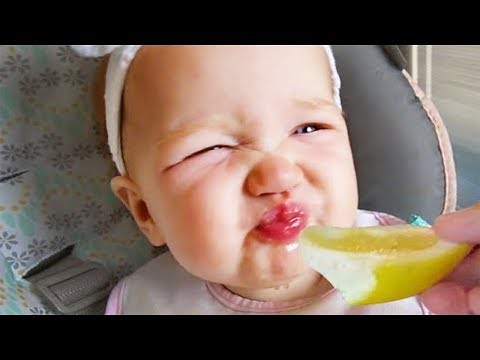 Trolling Babies ☆ Babies Eating Lemons for the First Time … | Flickr