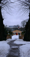 Linnaeus Garden in winter
