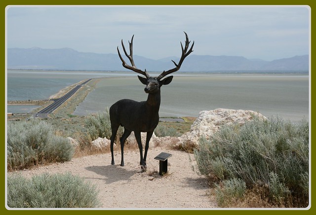 ''' Mule Deer Monument '''