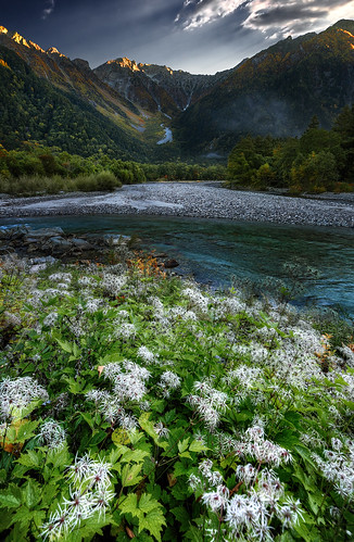 mountains mountain landscape river flower stream hotakadake kamikōchi japan azusagawa