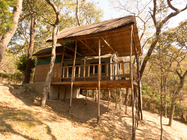 Dzalanyama Forest Lodge