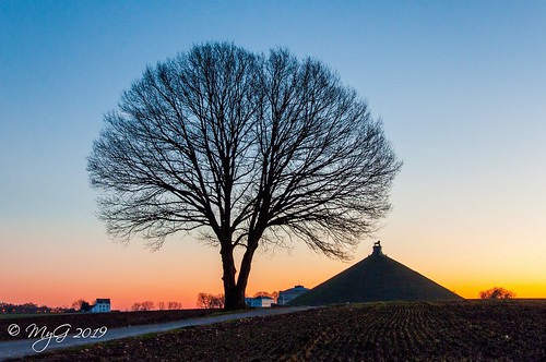 sky sun serenity sunset silhouette shadows soleil belgium belgique mygphotographiewixsitecommyg2017 myg europe 2019 waterloo lion tree travel arbre exploration randonnée history hike imagination paysage peace mood landscape nikon d90 nikonafsdxnikkor18105mm3556g tmt