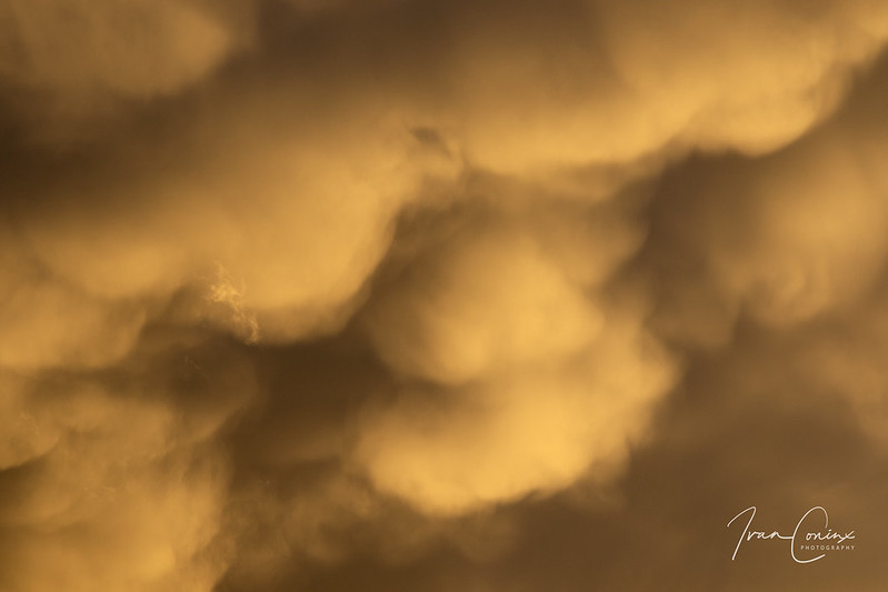 Mammatus During Sunset – Mechelen – 2019 03 10 – 02 – Copyright © 2019 Ivan Coninx