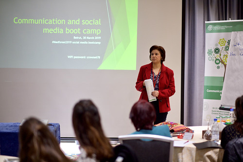 VI MFW - Communication and social media boot camp 30-31 March 2019 | by forest.communicator