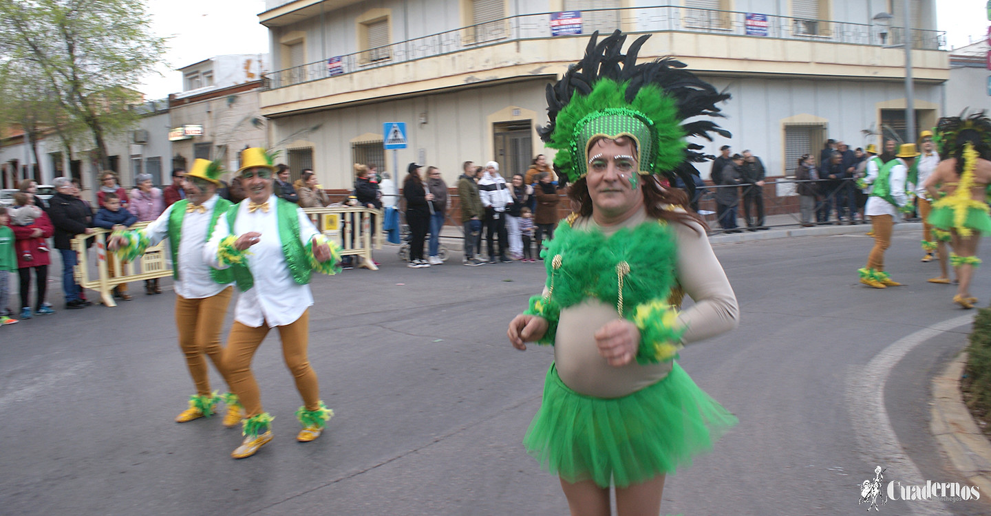 carnaval-tomelloso-desfile-locales-2019 (336)