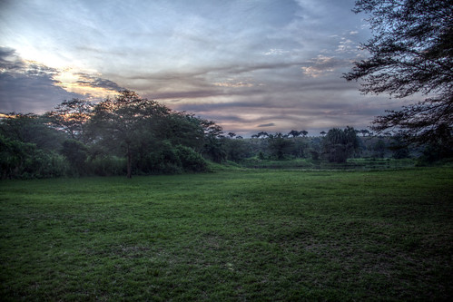 africa uganda hdr outdoor sky evening sunset tree grass field landscape