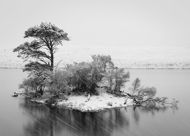 Loch Borralan, Assynt