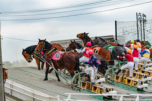 a7r3 race obihiro horse japan hokkaido sony cavallo cheval うま 乗馬 北海道 帯広市 馬 obihiroshi hokkaidō giappone jp