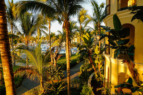 mazatlan mexico nuevomazatlan pueblobonitoemeraldbay sinaloa palm palmtree plants pool resort swimmingpool tree water