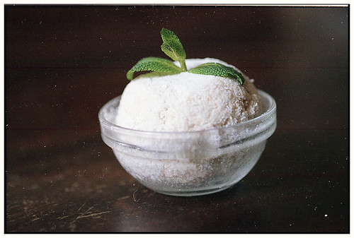Vegan Foodies Homemade | by Viola Canina