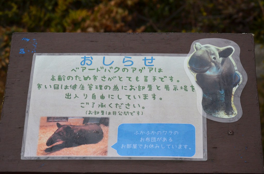 金沢動物園20190126