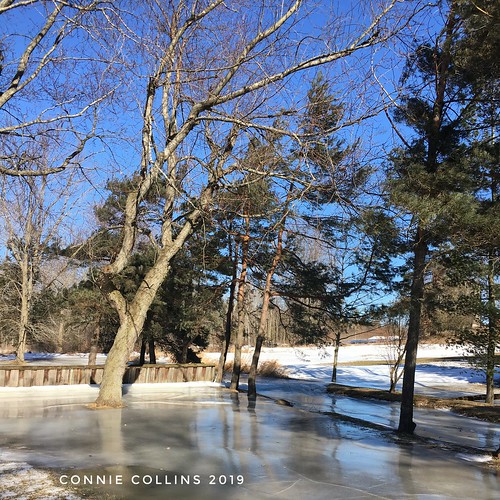 princeedwardcounty winter mybackyard flooding bluesky viewfromhere nature