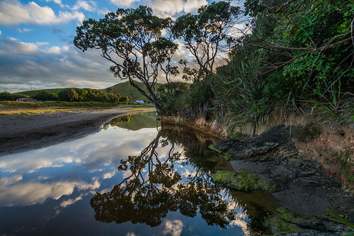 water river cloud tree reflections beach rural otamurbeach relaxed coastal landscapee