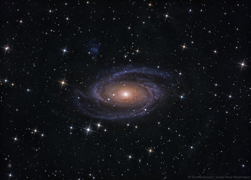 Galactic Maelstrom M81