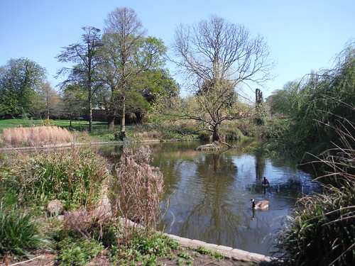 Pond 2 fed by Effra Tributary, Brockwell Park SWC Short Walk 39 - Brockwell Park (Herne Hill Circular or to Brixton)