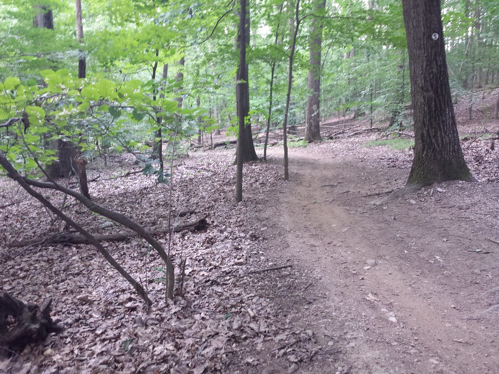 Yellow Trail