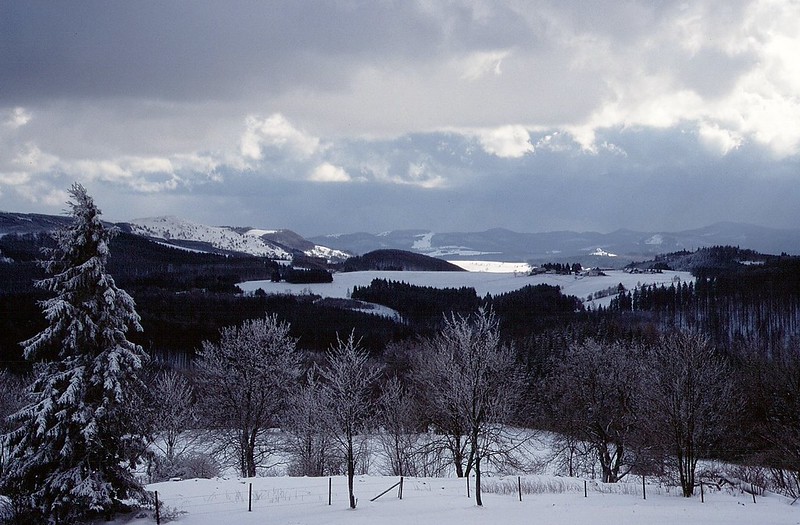 rhn00873F | Blick von der Milseburg zum Pferdskopf (links), zum Wachtküppel, zum Dammersfeld (hinten), zur Großen Nalle (davor) und zum Teufelstein (vorne rechts). Rhön, 17.02.1999