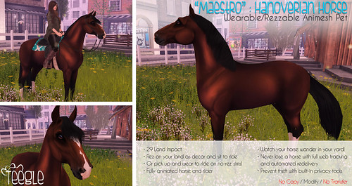 Teeglepet Ad: Maestro the Hanoverian Horse