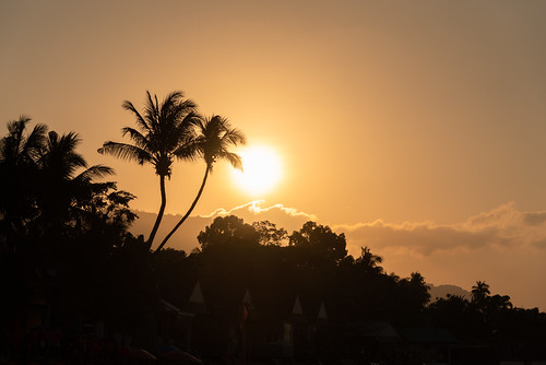 sunset sky golden thailand kohsamui maenam palmtree silhouette nikond750 tropical