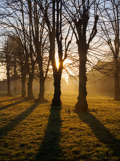 Cardwells Morning Sun-E2140214