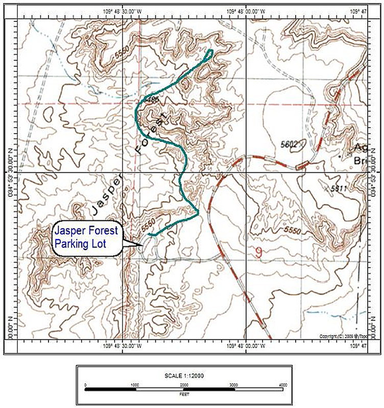 Jasper Forest Map