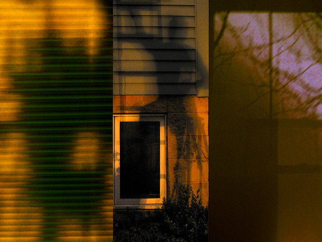 Yellow Fog on the Window Panes, 2008 (inspired by T.S. Eli.ot's 