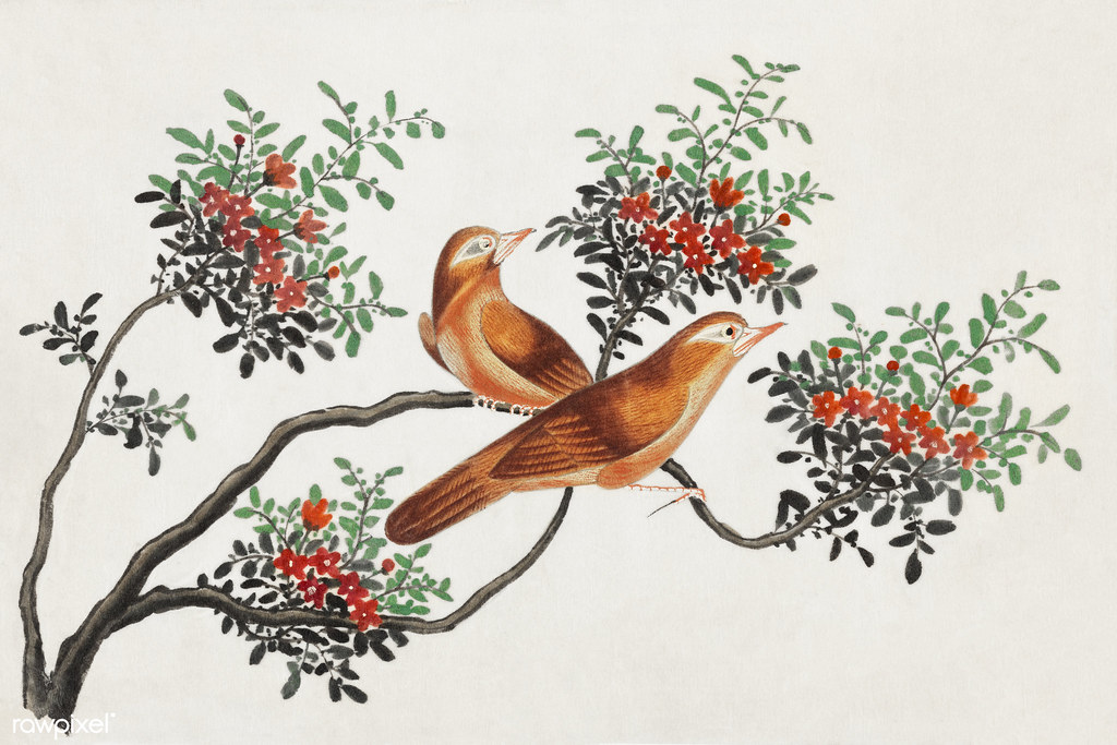 Chinese painting featuring birds of China (ca.1800–1899) from the Miriam and Ira D. Wallach Division of Art, Prints and Photographs: Art & Architecture Collection. Original from the New York Public Library. Digitally enhanced by rawpixel.