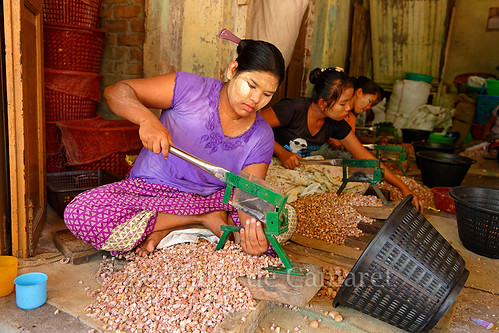birmanie myanmar bertranddecamaret ngc nationalgeographic femme woman bago noix arec travail work pegu burma portrait tanaka