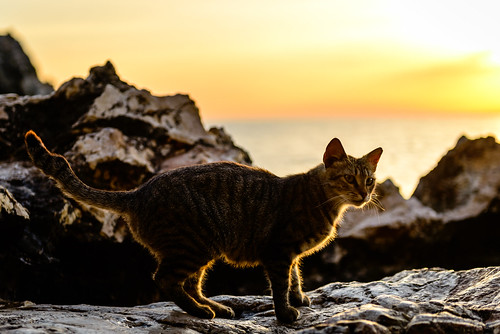 capegreco cavogreko sunrise cat rocks sea