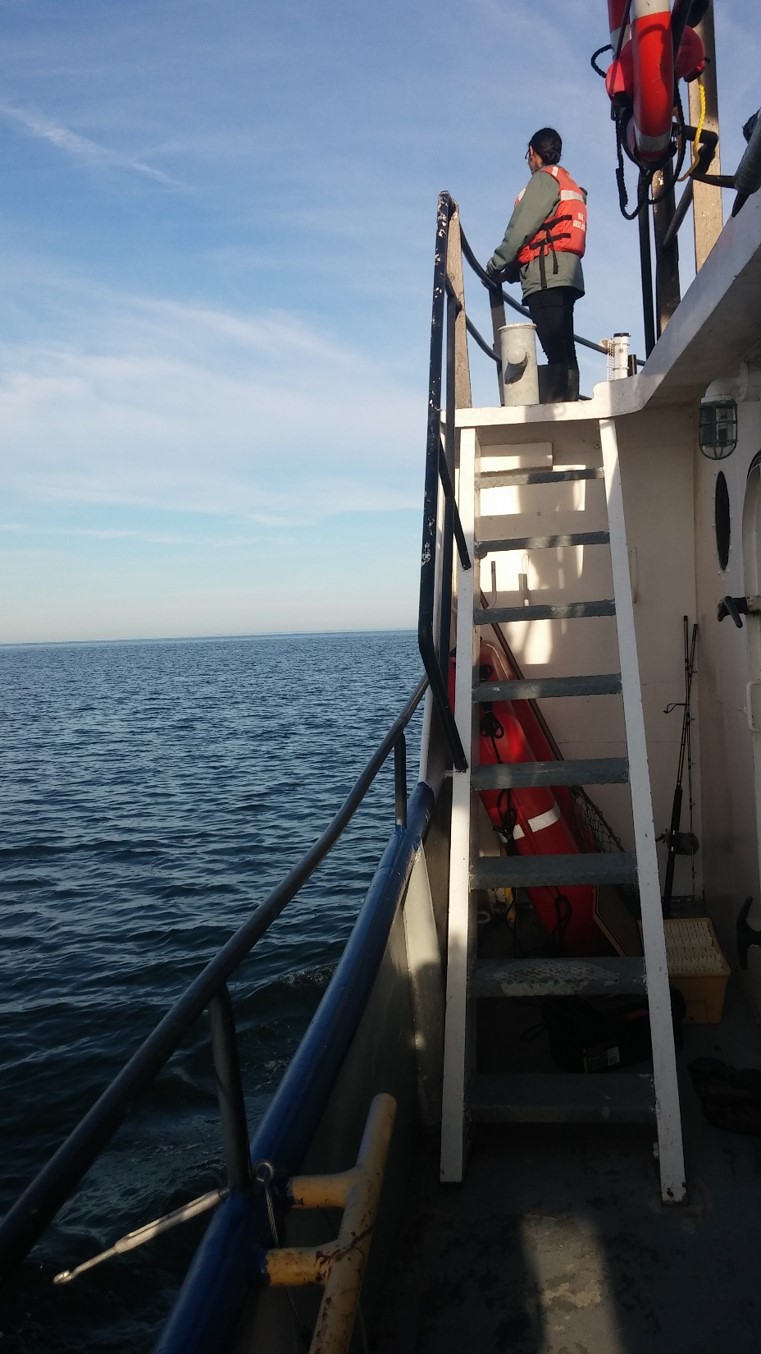 2018 CIGLR Photo Contest