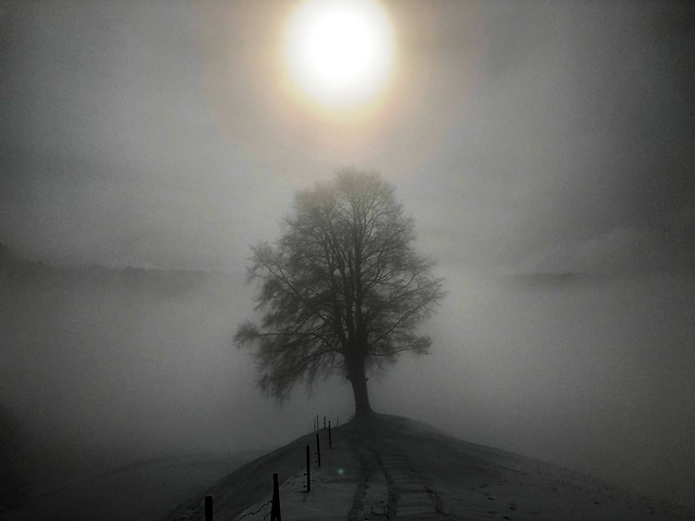 Wintertag an der Nebelgrenze