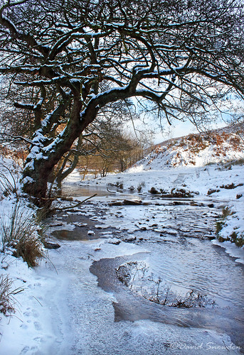 davidsnowdonphotography canoneos80d landscape osmotherley northyorkshire codbeck winter ice snow frozen frost yorkshire
