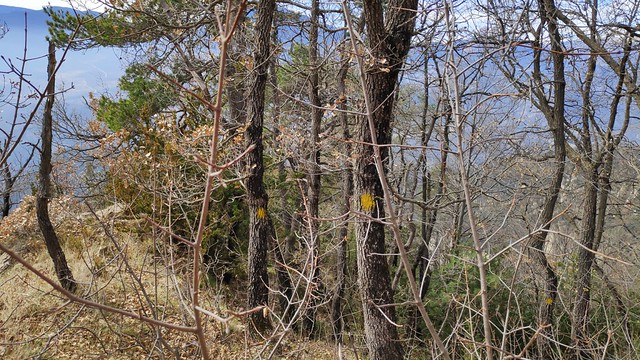 IMG_20190303_135913