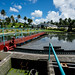 49001-002: Urban Water Supply and Wastewater Management Investment Program in Fiji