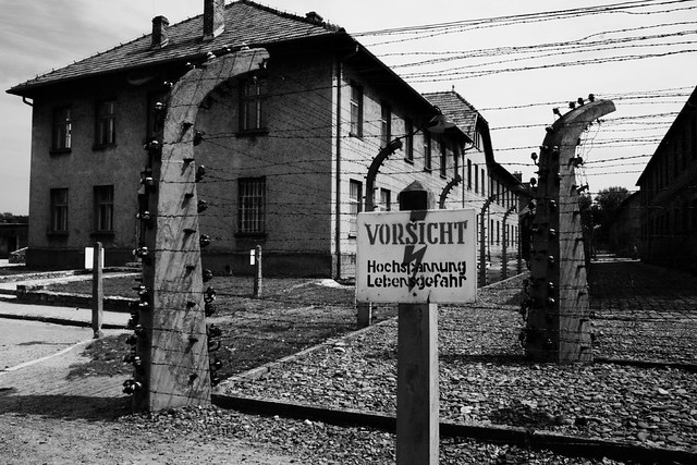 Auschwitz, 5