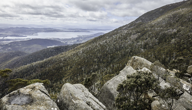 Looking down over the esturary, Exploring the Lost World trail, Mount Wellington- kunanyi-5