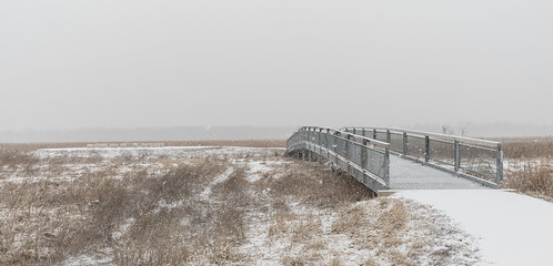 bridge chicagoland cookcountyforestpreserve landscape nature outdoors snow killdeerwetlands