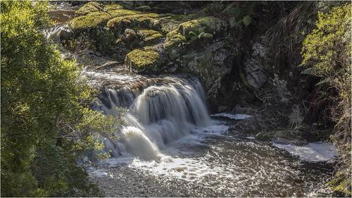 australia australien tasmania tasmanien russel falls hallsfalls rainforest water waterfall green trees bäume langzeitbelichtung wald regenwald steine stones pflanzen farn fern canonef70200mmf4lisusm canoneos5dmarkiv