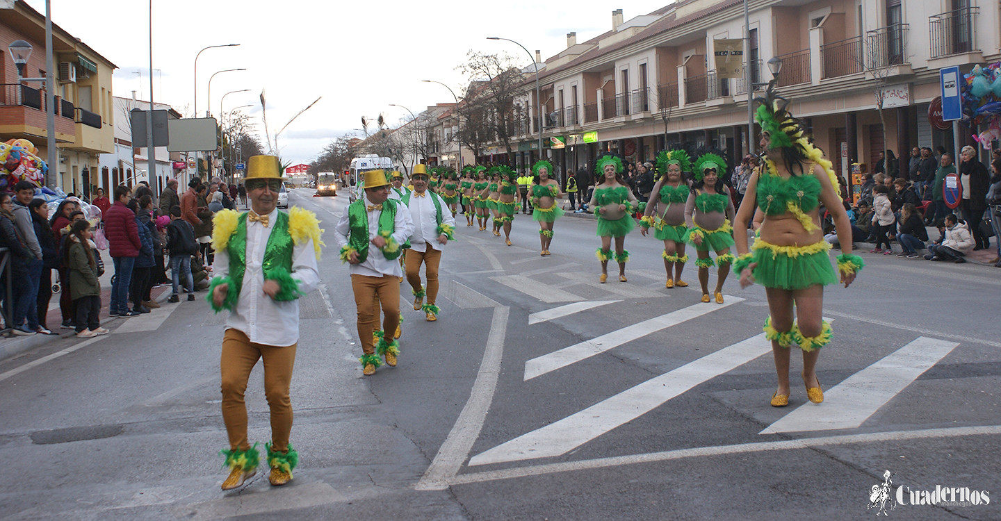 carnaval-tomelloso-desfile-locales-2019 (330)