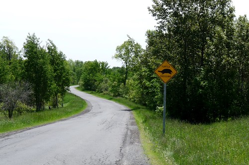 roadsign landscape