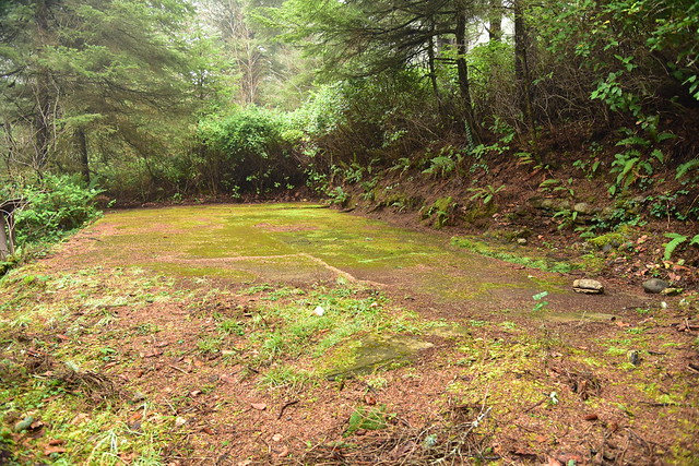 Foundation from old CCC camp