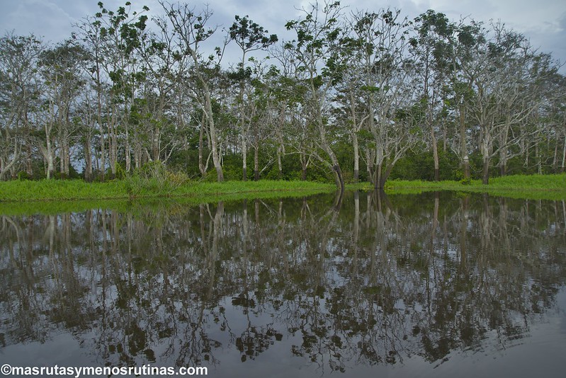 Leticia y la Amazonía colombiana - Palmeando por COLOMBIA (12)