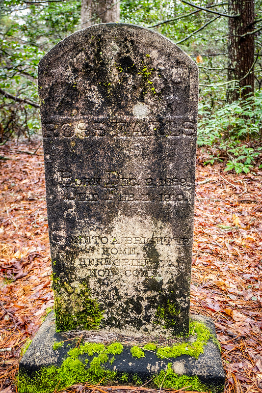 Tall Pines Preserve and South Saluda Church Cemetery-53