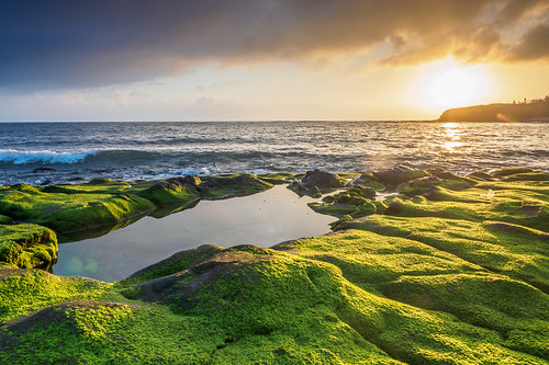 P2032386_Huxi by Mark thanks for 3,000,000+ views, 海角新綠之二海 岩石 綠 夕陽 水 澎湖