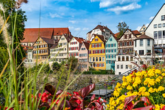 Tübingen / Germany 2018