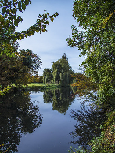 canon6d landscape waterscape river greatouse uk cambridgeshire willow water calm reflection outdoors nature