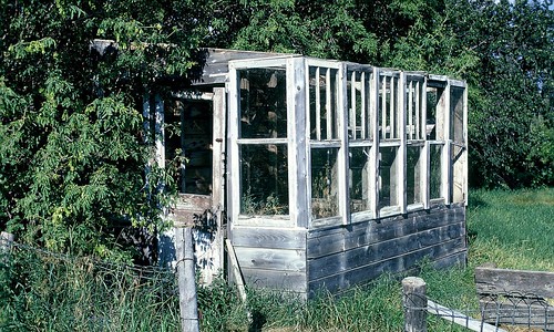 saskatchewan 35mmfilm 35mm abandoned farm greenhouse