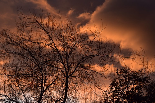 nikond5600 nikon sky sunset shadow tree cloud
